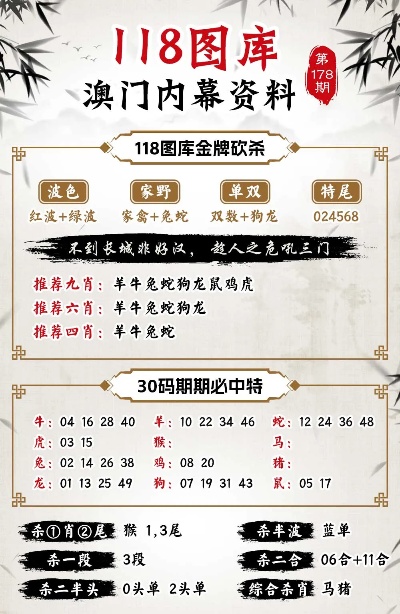 澳门今晚上必开一肖,精细执行计划_高级版63.456