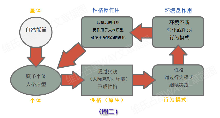 澳门今晚必开一肖一特,完善的执行机制解析_专家版11.867